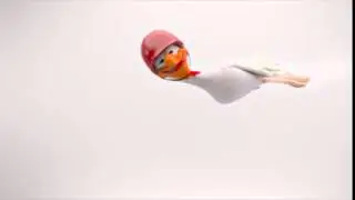 Introducing Mr  Chicken 640x360