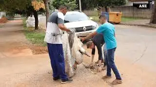 Multirão da Umadelur 2019