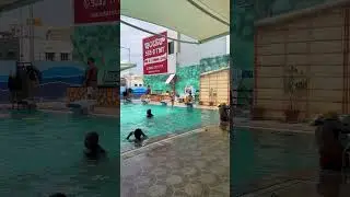 Swimming 🏊 in public batch