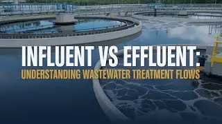Influent vs Effluent: The Incredible Journey of Wastewater