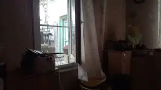 Когда улажил спать 😎😴🤓🦊
