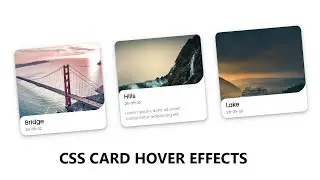CSS Card Hover Animation Effects Using Html Css | CSS Hover Animation