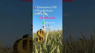 💰 Jak określić płatność czynszu 👀raz w roku 👀co miesiąc 👀a może raz na pół roku⁉️