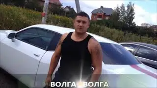 Владимир Курский  - 