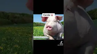 Animales que nacieron con partes extra del cuerpo #shorts