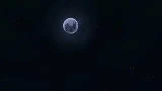 Conan Exiles, Purge and I