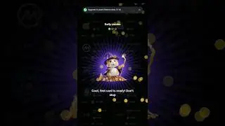 17 June Hamster Kombat Daily Combo Cards for Today 17/06/2024