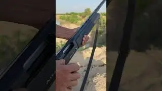 The power of this Shortgun 🔥