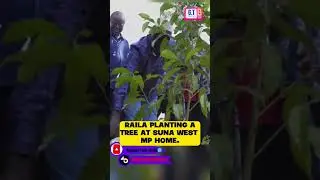 How raila did at suna West MP HOME.