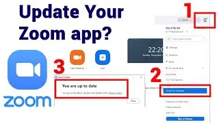 Zoom 👉 How to Update Zoom app / Update Zoom Client