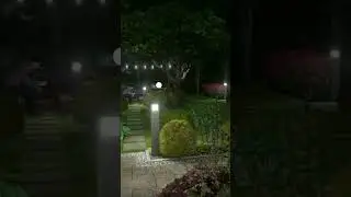 Ландшафтный дизайн. Проработка освещения участков. #дача #garden #landscapingdesign #design #