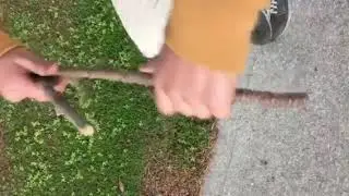 Breaking sticks sound effect