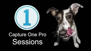 Why I Use Sessions with Capture One Pro