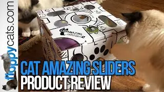 Stimulating Cat Puzzle: Cat Amazing Sliders Product Review