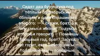 Сидят два Бурундука