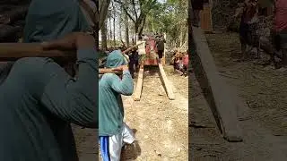 Load teak wood into medium truck 4 #woodworking #russia #america #india #korea #japan