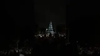 Árvore de Natal parque do ibirapuera 2019