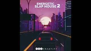 Energetic Slap House 2