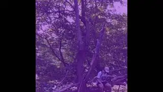 Yung Lean   Ginseng Strip 2002 (Slow and reverb)