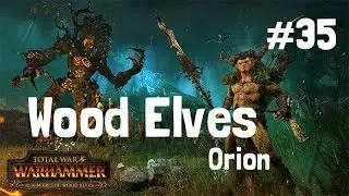 Total War: Warhammer 2 – Orion – Wood Elves – Mortal Empires – Part 35