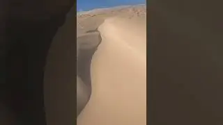 Жук попёрся и я попёрся!)