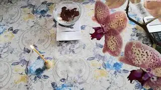 СЕРДЕЧНАЯ ЧАКРА.ОТЛИВКА ВОСКОМ.ЧИСТКА СЕРДЕЧНО СОСУДИСТОЙ СИСТЕМЫ.