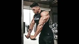 andri due gym action status || gym status for whatsapp || bodybuilder status || bodybuilder shorts