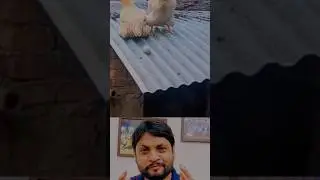 क्या कमाल हो गया ..🙀🤘🌟 ...