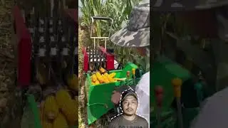 Keren banget sih alat ini #reviewbuah #shorts #jagung #panen