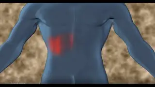 Preliminary Study on the Mechanism of Carvacrol Regulating Hepatocellular Carcinoma