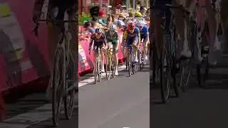 'Flying' to victory at la Vuelta! 🕊️ #shorts #cycling