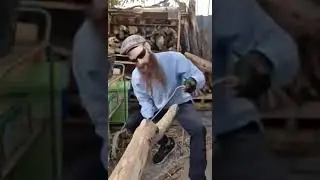 Cat stand another off shoot branch debarking #handmade #catstand
