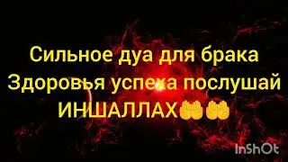 слушайте Коран каждый 🤲☀