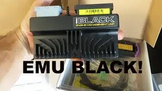 1JZ Foxbody Mustang EMU BLACK Install!
