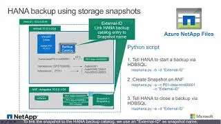 Azure NetApp Files   SAP HANA backup in seconds