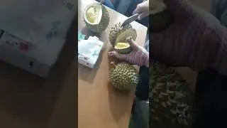 durian