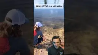 If you see a fish that won't run away, don't put your hand in. 