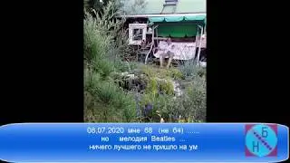МНЕ  68 лет