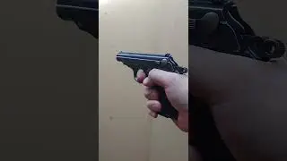 Walther PP 32ACP テスト射撃