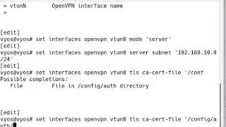 4 Configure OpenVPN on Vyos part2