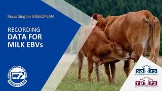 Recording Data For Milk EBVs