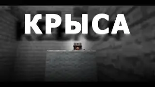 Крыса / VimeWorld#23