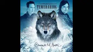 QUISE OLVIDARME DE TI - LOS TEMERARIOS