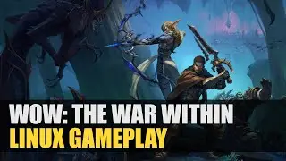 World of Warcraft: The War Within | Linux Gameplay | Dungeon Performance Test