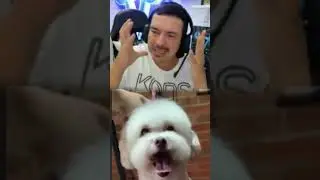 Corrección de trabajos