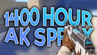 Bacca 1400h AK / MP5 Spray (AK tips)