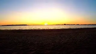 Fishing on the Volga. Carp fishing with oilcake. Alone on an overnight fishing trip.