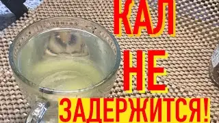 Сделай Глоток! И Все негодное Вылетит Пулей из Организма и даже...