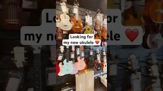 ตามหาอูคูเลเล่ตัวใหม่ Tour a music shop in BKK. Find a new ukulele. #music #taodangmusicshop