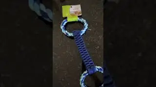 Dog advent calendar day 12 #foryoupage #foryou #fyp #fypシ #viral #viralvideo #funny #dog #christmas